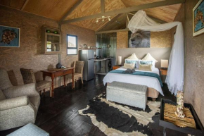 Sleep Whiskers away from the Lions and FEEL them ROAR Cabin 2